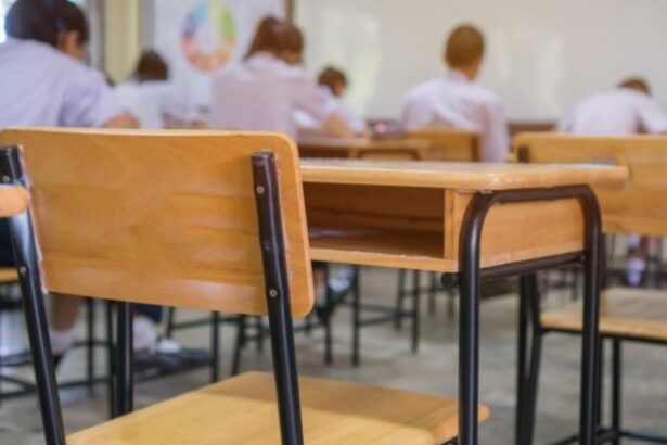 guvernul aloca 800 de milioane de lei pentru alimente in scoli in anul scolar 2025 2026 68d56f156d89e