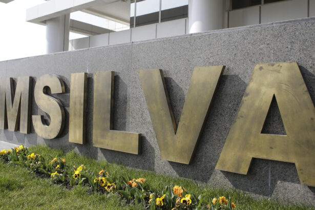 guvernul pregateste reorganizarea romsilva prin modificarea codului silvic 68ba8718c7459