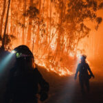 hatisul si padurile invadeaza satele cum contribuie abandonarea zonelor rurale la producerea incendiilor devastatoare din europa 68b6b08355506