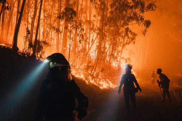 hatisul si padurile invadeaza satele cum contribuie abandonarea zonelor rurale la producerea incendiilor devastatoare din europa 68b6b08355506