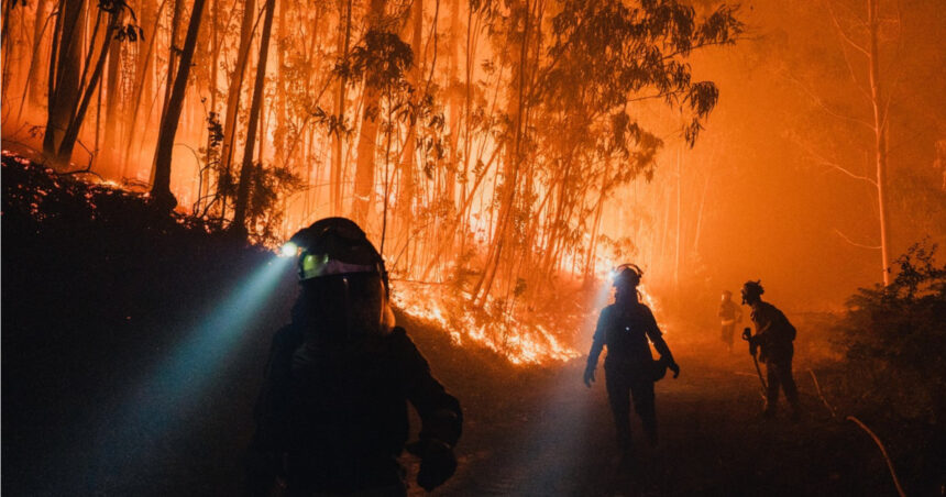 „Hățișul și pădurile invadează satele”: Impactul abandonării zonelor rurale asupra incendiilor devastatoare din Europa 1 hatisul si padurile invadeaza satele cum contribuie abandonarea zonelor rurale la producerea incendiilor devastatoare din europa 68b6b08355506