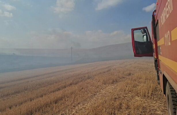 incendii de vegetatie uscata in agighiol si zona topolca sireasa din judetul tulcea 68c26dade635c