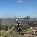 incendiu de vegetatie uscata cu posibilitate de propagare la mai multe locuinte in murighiol 68b5b64f44110