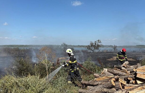 incendiu de vegetatie uscata cu posibilitate de propagare la mai multe locuinte in murighiol 68b5b64f44110