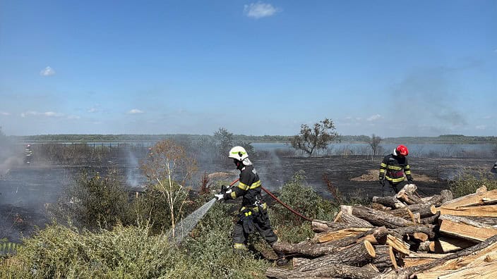 incendiu de vegetatie uscata cu posibilitate de propagare la mai multe locuinte in murighiol 68b5b64f44110