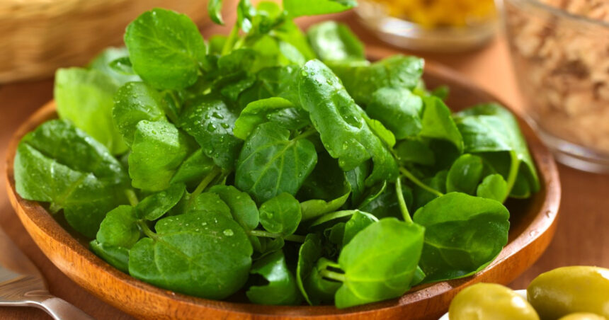ingredientul minune din salata bogat in vitamina k protejeaza inima si ajuta la slabit 68d7643a315df
