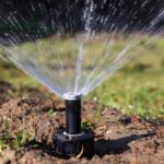 judetul constanta organizatia utilizatorilor de apa pentru irigatii siriu spp9 face demersuri pentru reabilitarea si modernizarea retelei 68c2efe1b6fe2