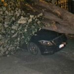 masina unchiului simonei halep distrusa dupa ce un copac s a prabusit peste ea 68c7c8a52c451