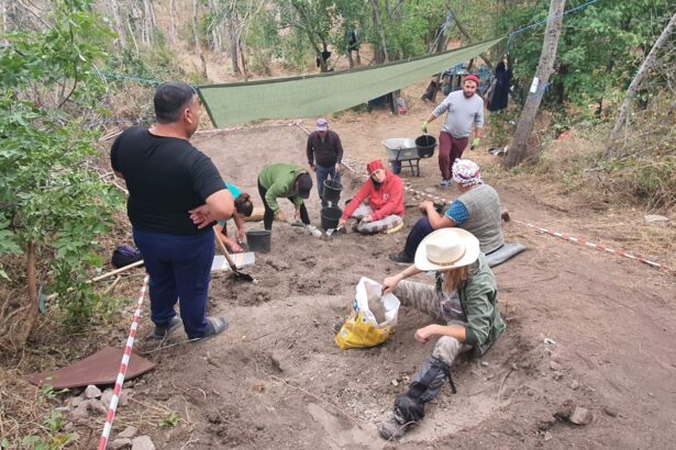 muzeul de istorie constanta continua sapaturile la cetatea romano bizantina sucidava moesica ziduri antice si artefacte descoperite de cercetatori 68cfedca54493