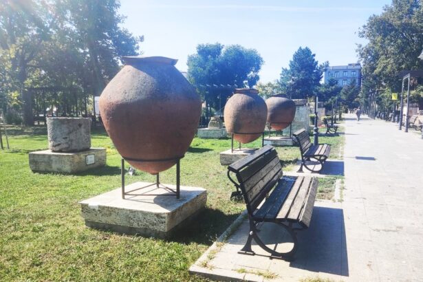muzeul de istorie nationala si arheologie constanta precizari oficiale privind patrimoniul expus in parcul arheologic din constanta dupa scrisoarea deschisa publicata de aurel bajenaru 68c04cd9ed79c