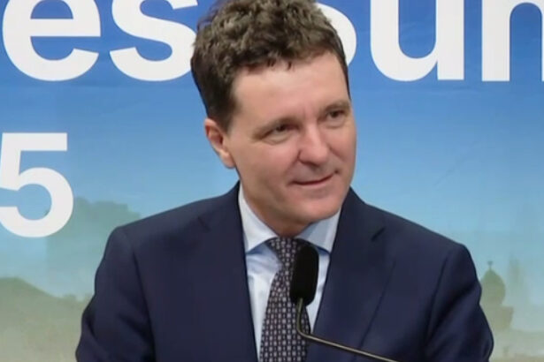 nicusor dan despre anularea alegerilor avem dovada ca au fost folosite conturi si firme din rusia o sa prezint datele la copenhaga 68dbfadb8c394