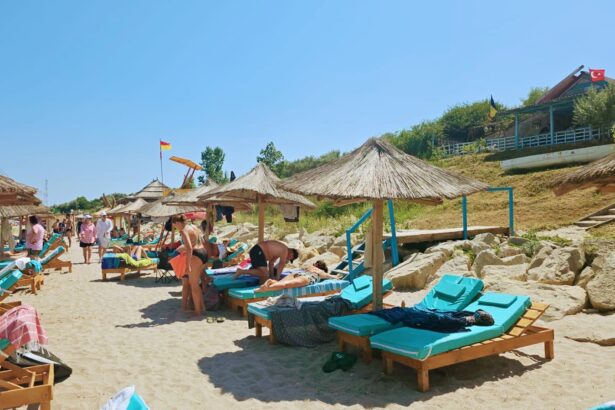 o firma cu activitate pe plaja tuzla sanctionata si inchisa de anpc s a adresat instantei pentru anularea sanctiunii 68d1dd17d09b1
