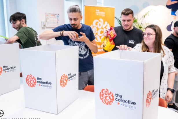 p the collective un an de voluntariat cu impact la kaizen gaming 68d16b3d331a5