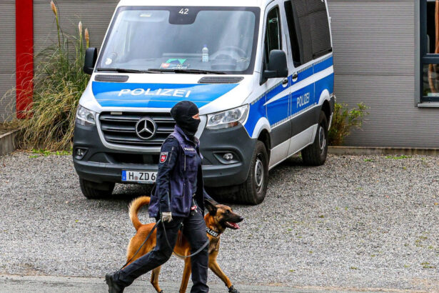 perchezitii in germania la o grupare de extrema dreapta s au gasit arme munitie bani lichizi si materiale cu potential exploziv 68c99ad89e159
