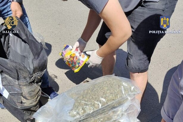petrecerile cu ecstasy si cannabis din techirghiol s au incheiat cu condamnari grele alunita 18 ani si 10 luni de inchisoare 68c9d7f376608
