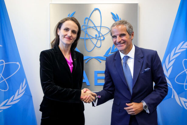 romania lobby pentru dezvoltarea energiei nucleare la conferinta aiea oana toiu si bogdan ivan parte a delegatiei de la viena 68caec59272ef