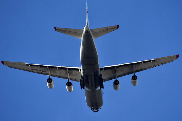 sapte oameni s au luat la bataie intr un avion inainte de aterizarea pe otopeni de la ce a pornit scandalul 68c7cb1e489ec