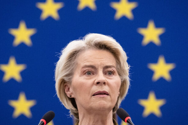 sefa comisiei europene avertizeaza dupa incidentul dronei rusesti in romania e o amenintare grava la adresa securitatii regionale 68c7096c902fb