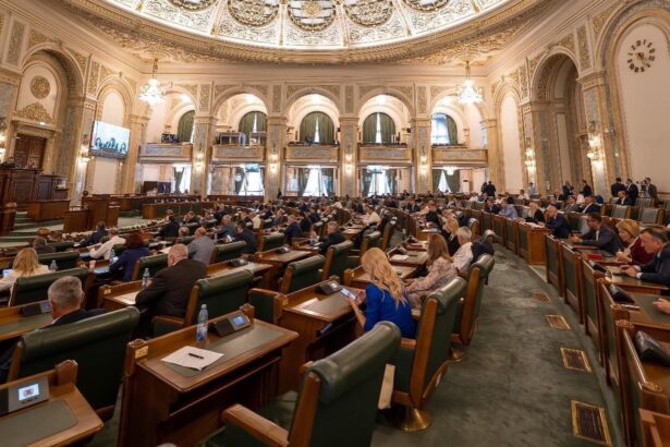senatul dezbate azi motiunea depusa de aur impotriva ministrului educatiei daniel david 68c7a9387b439
