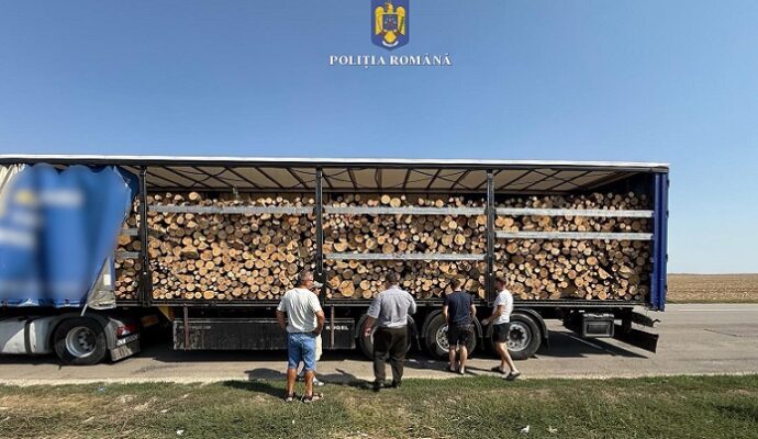 soferul unui tir incarcat cu material lemnos depistat in trafic cu mai multe nereguli 68b99cc4eae41