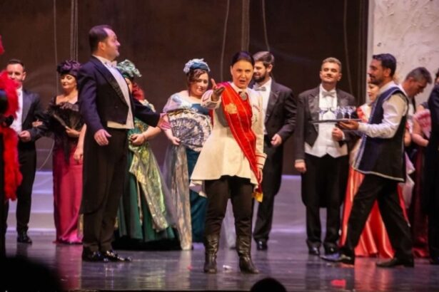 spectacolul de opereta liliacul la teatrul national de opera si balet oleg danovski 68dc0214888d9