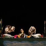teatrul calutul de mare ii asteapta pe copii cu una dintre cele mai frumoase si sensibile povesti ratusca cea urata vezi aici cand poate fi vizionata piesa 68d6a4c4cd20a
