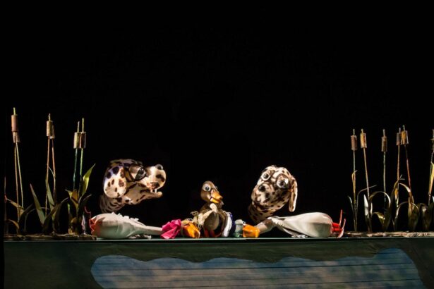 teatrul calutul de mare ii asteapta pe copii cu una dintre cele mai frumoase si sensibile povesti ratusca cea urata vezi aici cand poate fi vizionata piesa 68d6a4c4cd20a