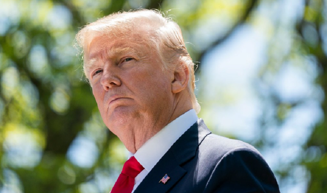 Tokenurile familiei Trump au înregistrat o scădere de aproximativ 12% în prima zi de tranzacționare. 1 tokenurile familiei trump au scazut cu circa 12 in prima lor zi de tranzactionare 68b6974b13914