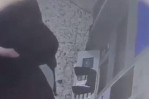 trei barbati si o femeie trimisi in judecata dupa ce au torturat un barbat pentru a i afla pin ul cardului victima a murit la spital 68c482b8ce316