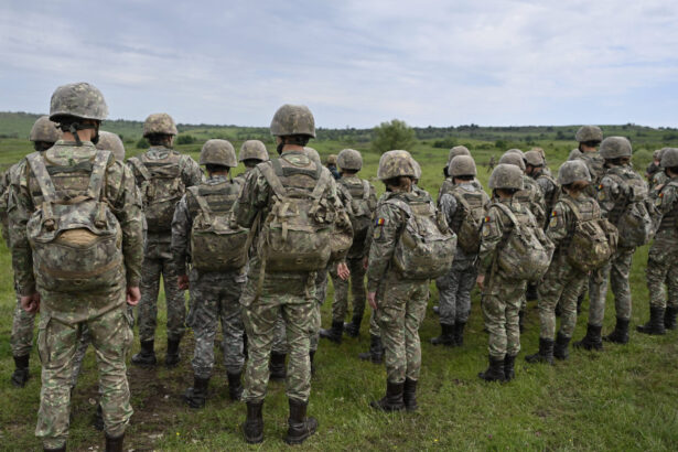 trei romani din patru au o parere buna despre introducerea stagiului militar pe baza de voluntariat sondaj 68ca947552dee