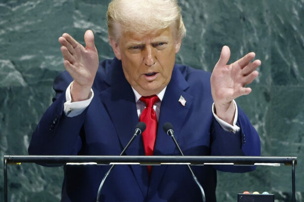 trump la onu schimbarile climatice sunt cea mai mare inselatorie din lume avertisment pentru investitorii in energie verde 68d2d1d5d8d0a