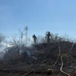 update foto arde vegetatia uscata in murighiol judetul tulcea mai multe locuinte sunt in pericol 68b59a95d696a