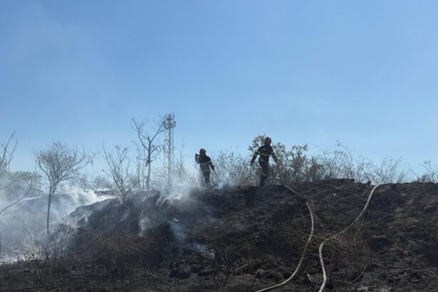 update foto arde vegetatia uscata in murighiol judetul tulcea mai multe locuinte sunt in pericol 68b59a95d696a