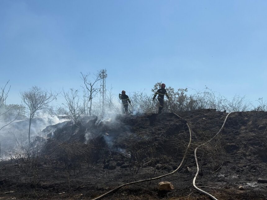 update foto arde vegetatia uscata in murighiol judetul tulcea mai multe locuinte sunt in pericol 68b59a95d696a