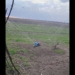 video cum ajuta cultivatorii de lalele din olanda apararea ucrainenilor in fata dronelor sunt foarte rezistente 68ce4d3109542