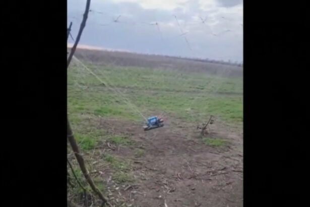 video cum ajuta cultivatorii de lalele din olanda apararea ucrainenilor in fata dronelor sunt foarte rezistente 68ce4d3109542