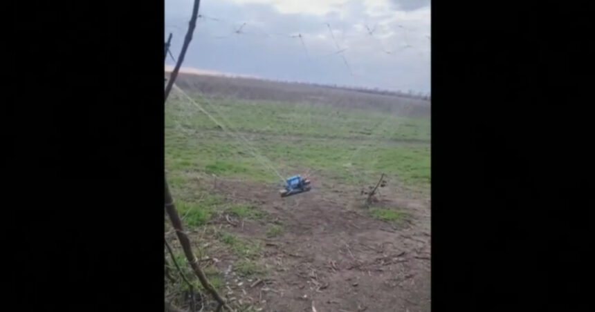 video cum ajuta cultivatorii de lalele din olanda apararea ucrainenilor in fata dronelor sunt foarte rezistente 68ce4d3109542