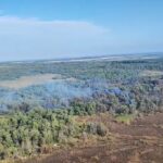 video incendiu violent in delta dunarii la sireasa pompierii lupta pentru a doua zi cu flacarile ce au cuprins padurea 68c2c231ebb34
