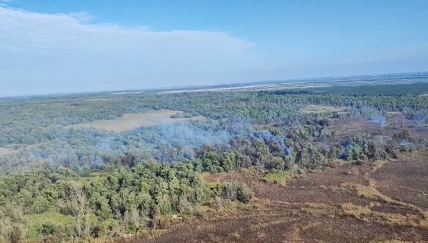 video incendiu violent in delta dunarii la sireasa pompierii lupta pentru a doua zi cu flacarile ce au cuprins padurea 68c2c231ebb34