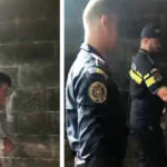 video inculpatii din dosarul fabrica de mosteniri au ajuns la curtea de apel constanta 68d64d1e7737e
