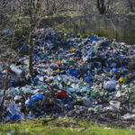 video ministra mediului despre gunoaiele aruncate pe camp daca mai aud de o campanie de reciclare cu flyere pe hartie o sa innebunesc 68dc2f7d33e5d