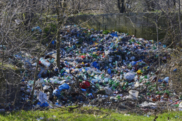 video ministra mediului despre gunoaiele aruncate pe camp daca mai aud de o campanie de reciclare cu flyere pe hartie o sa innebunesc 68dc2f7d33e5d