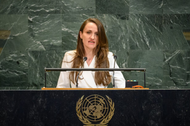 video oana toiu la adunarea generala a onu federatia rusa incearca sa submineze dreptul moldovenilor de a si decide viitorul 68d94d35daa01