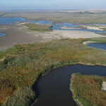 video paradisul pierdut de la comana peste jumatate din delta neajlovului a secat aici se prindea stiuca acum nu mai exista 68d4da8fb5979