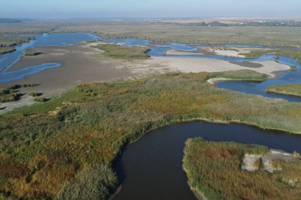 video paradisul pierdut de la comana peste jumatate din delta neajlovului a secat aici se prindea stiuca acum nu mai exista 68d4da8fb5979