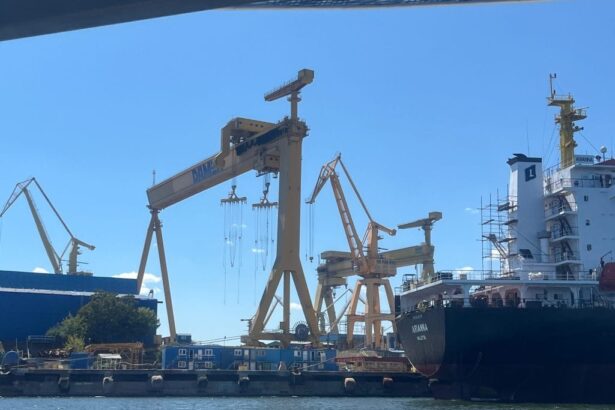 video santierul damen mangalia abandonat de statul roman sindicalistul laurentiu gobeaja nu exista nici o preocupare pentru acest santier desi a fost declarat obiectiv strategic de inte 68cc93966613d