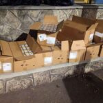 video tigari in valoare de 20 000 de euro descoperite in cabina unui cetatean moldovean in punctul de frontiera negru voda 68d3d15c260fd