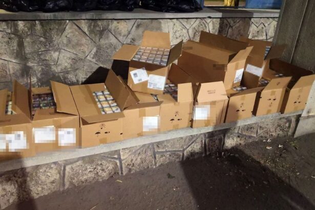 video tigari in valoare de 20 000 de euro descoperite in cabina unui cetatean moldovean in punctul de frontiera negru voda 68d3d15c260fd