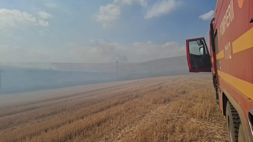 video tulcea un elicopter black hawk intervine la un incendiu aproape de agighiol 68c185bcaa905