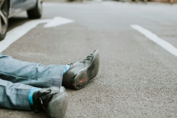 a ascuns masina intr un lan de porumb dupa un accident mortal soferul fara permis condamnat si fugit din tara prins in 2025 68f82a281b5c3